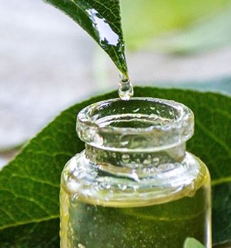 Jake Ma Tea Tree Olej Ucinky A Vyuziti V Peci O Plet Mob
