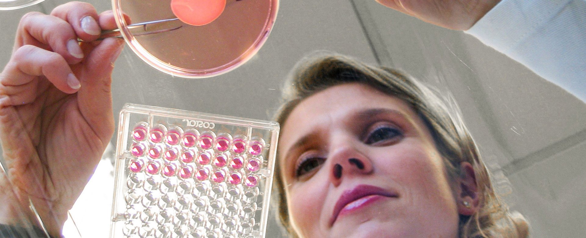 2000x815 Main Photo Blog Episkin