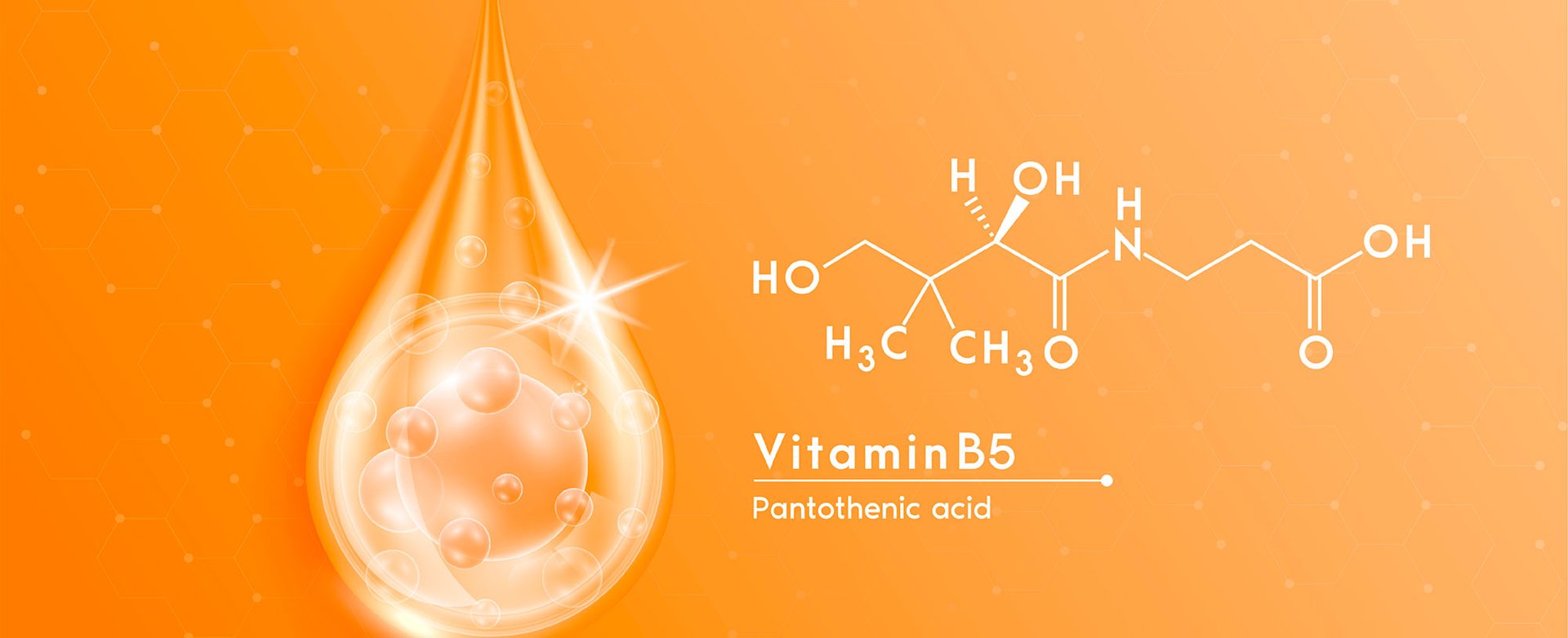 Kyselina Pantothenova