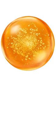 Vitamin C Ing Alt