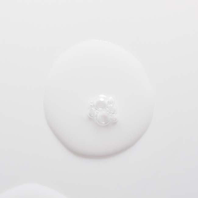 3600523959648 00